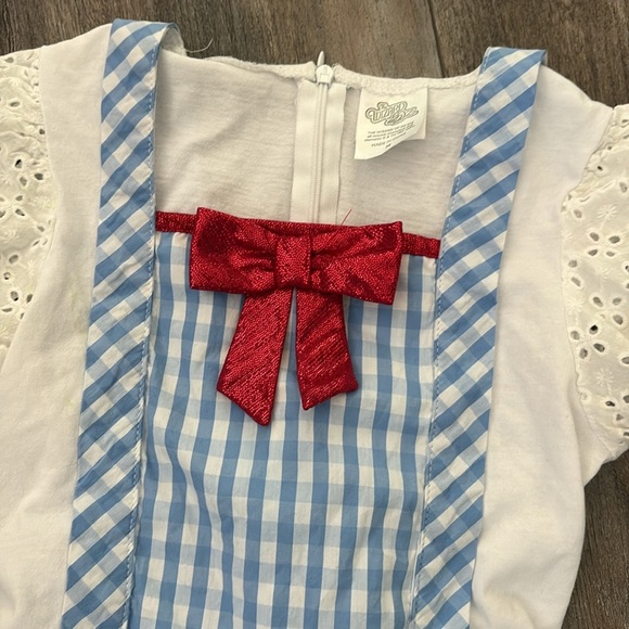 Dorthy Wizard of OZ dress & Vintage Ruby Slippers - Picture 9 of 13